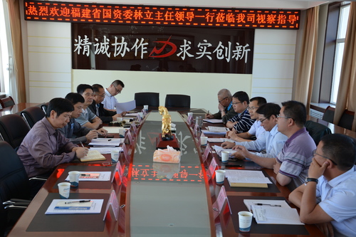 洪進青：省國資委領(lǐng)導(dǎo)視察海西東諾公司1.jpg