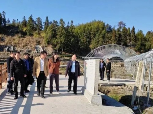 海峽科化公司黨委書(shū)記、董事長(zhǎng)吳彩洪到福安市城陽(yáng)鎮(zhèn)仙嶺村調(diào)研鄉(xiāng)村振興工作并慰問(wèn)駐村干部2.jpg