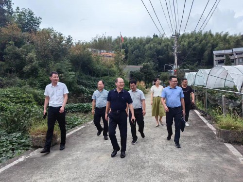 格式工廠福安黃曉志：圖為省機(jī)電控股公司黨委委員、副總經(jīng)理吳大文到福安市仙嶺村開(kāi)展鄉(xiāng)村振興工作調(diào)�?(2).jpg