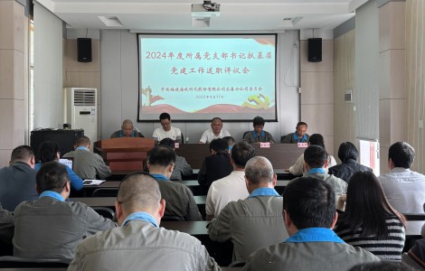 格式工廠黨支部書記述職評(píng)議會(huì).jpg